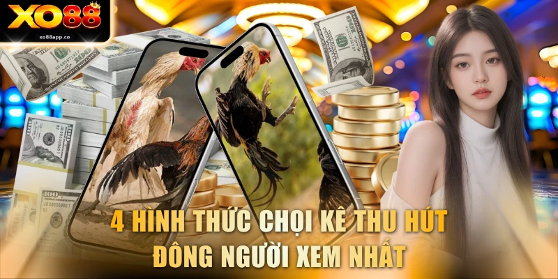 4 hình thức chọi kê thu hút đông người xem nhất