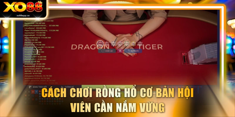 Cách chơi Rồng Hổ cơ bản hội viên cần nắm vững