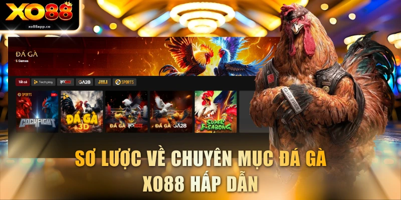 Sơ lược về chuyên mục đá gà XO88 hấp dẫn